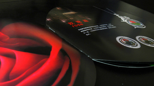 �麣�����v��(chu��ng)���Ļ��������޹�˾ �V�残��(c��)�O(sh��)Ӌ(j��)��˾ 