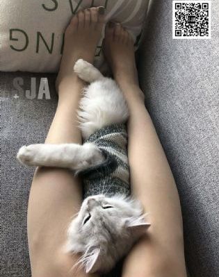 草民影院免费观看_BD国语全集在线观看